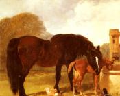 约翰 弗雷德里克 赫尔林 : Horse and Foal watering at a trough